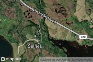 Selneselva