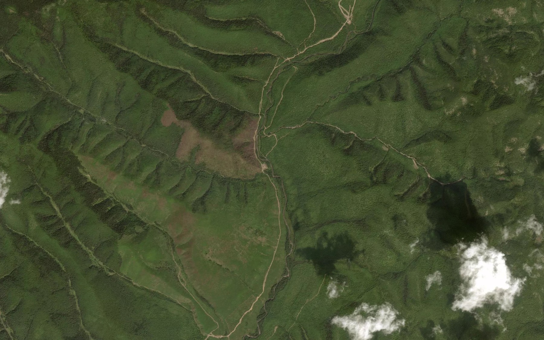 Satellite map of the Kustarnikovyy