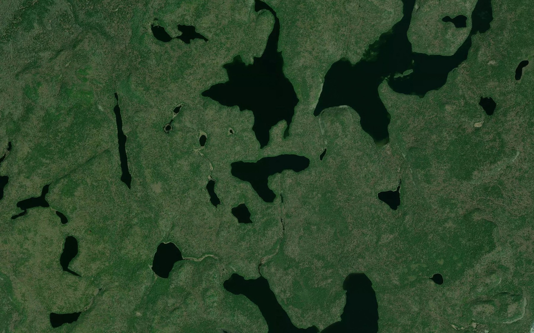 Satellite map of the Camel Read Lake