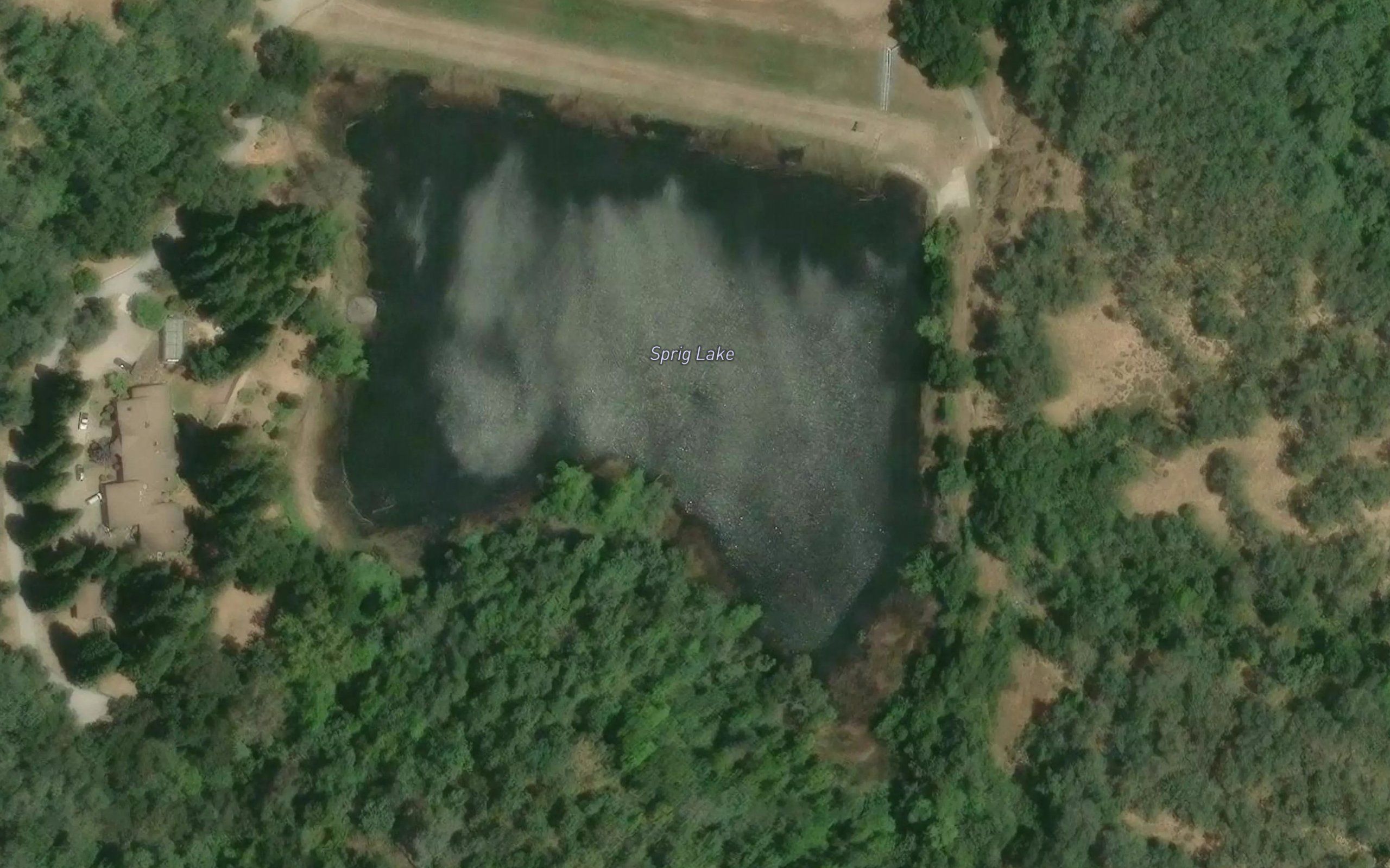 Sprig Lake