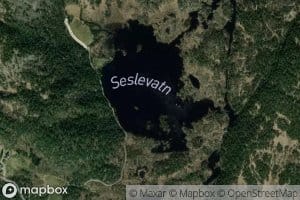 Seslevatn
