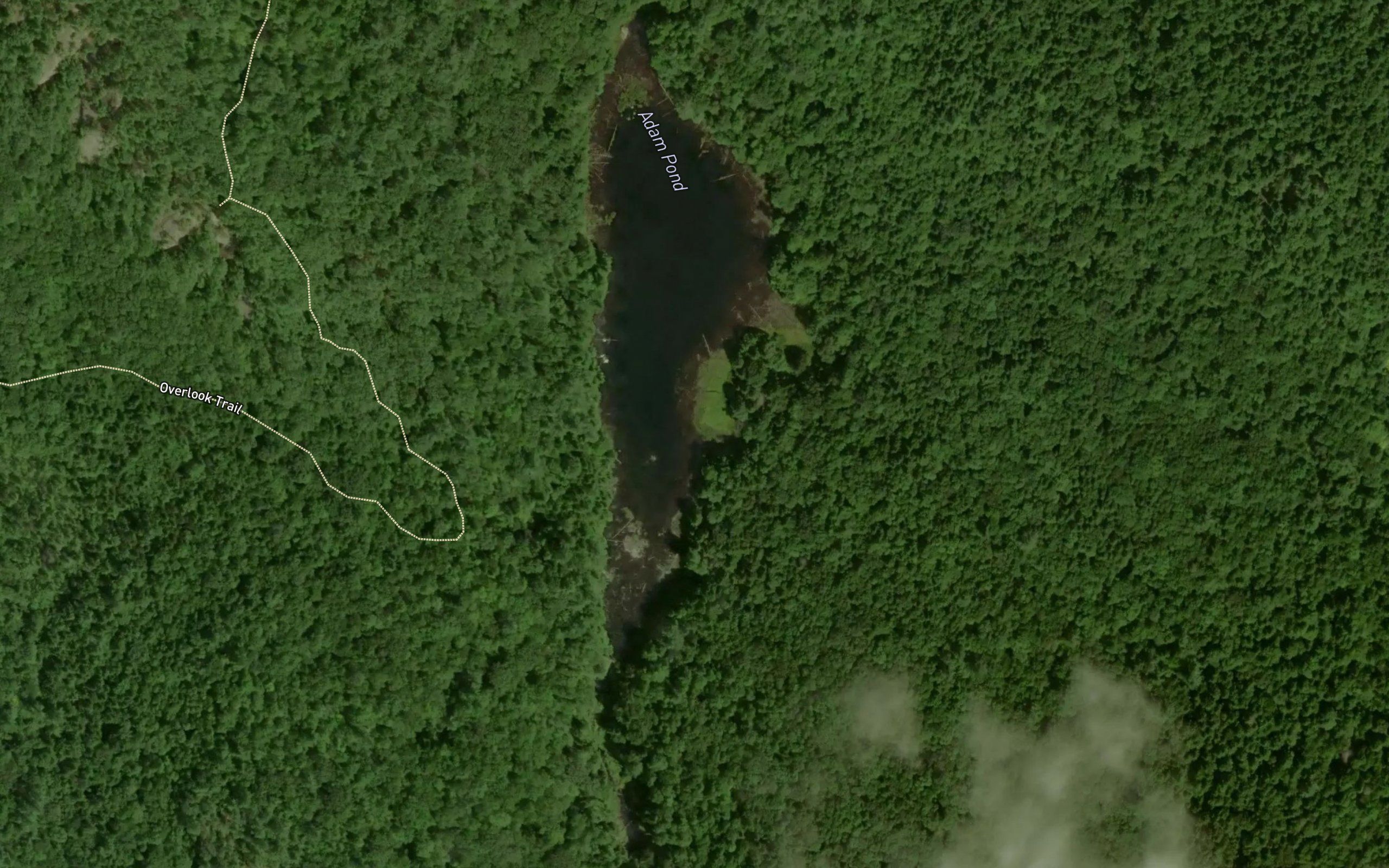 Adam Pond