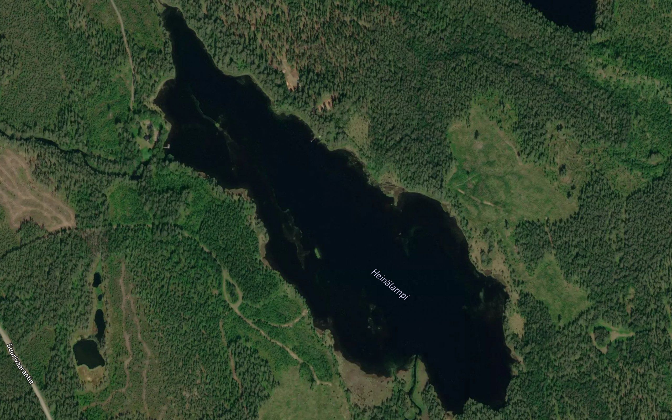 Heinalampi