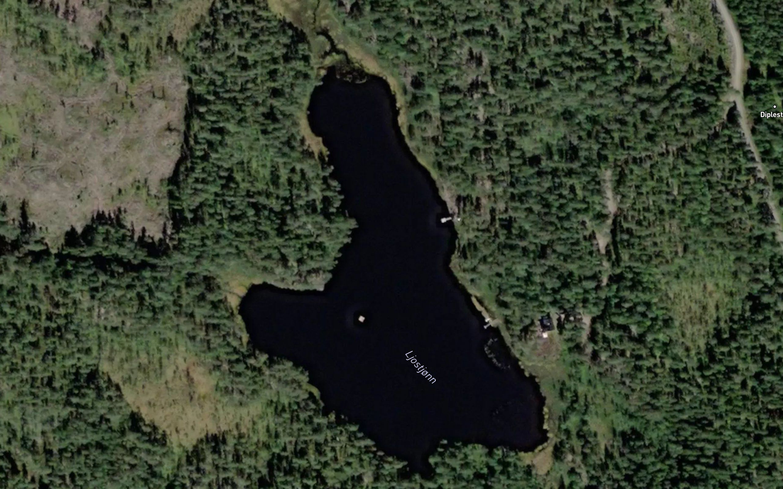 Ljostjorn