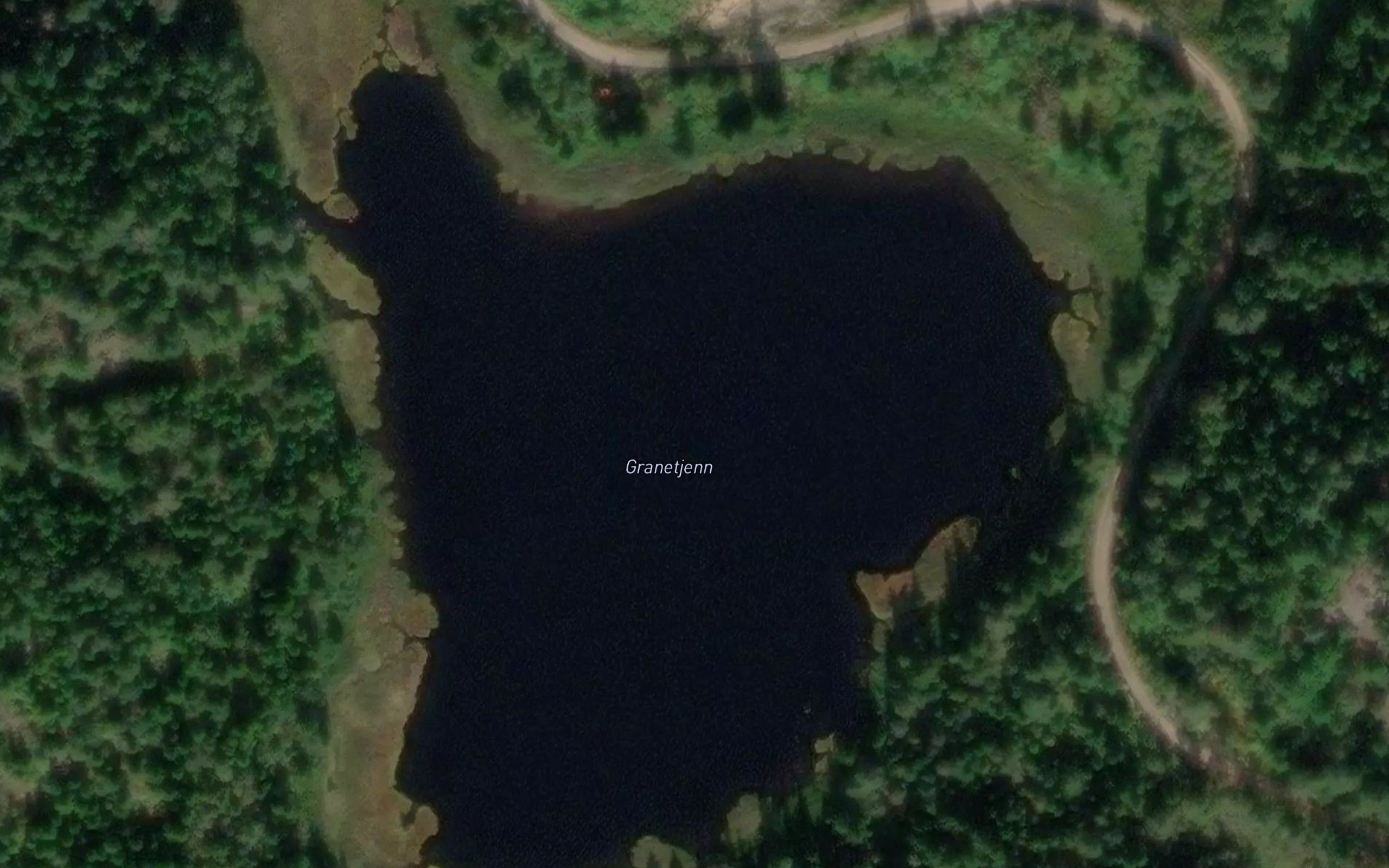 Granetjenn