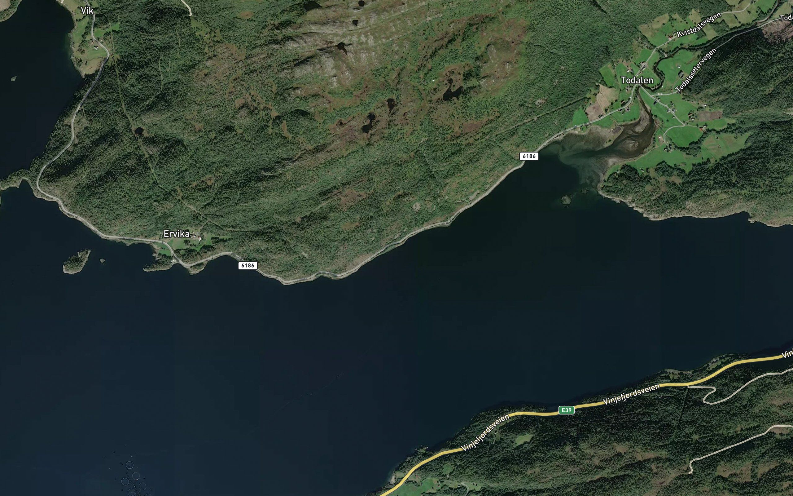 Porkvika