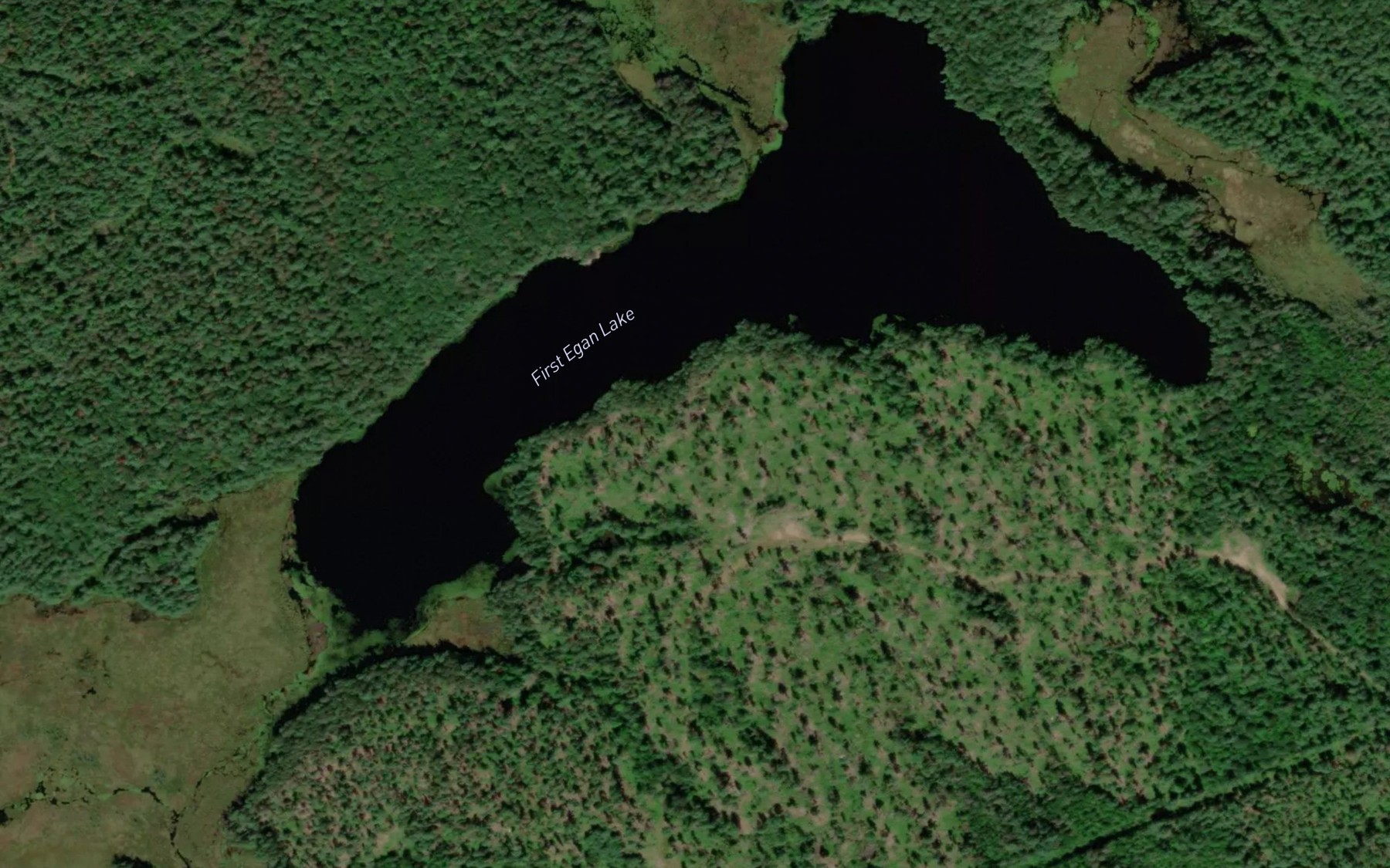 Satellite map of the First Egan Lake