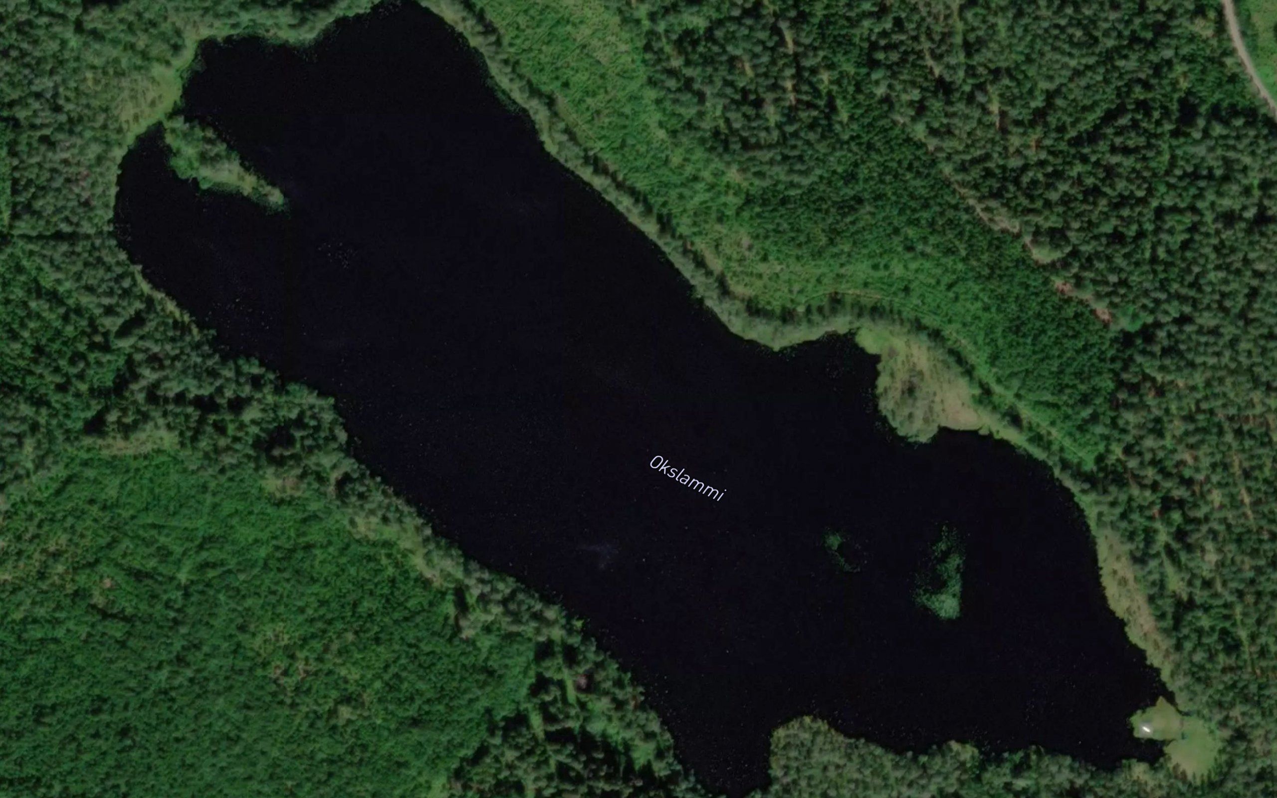 Okslammi