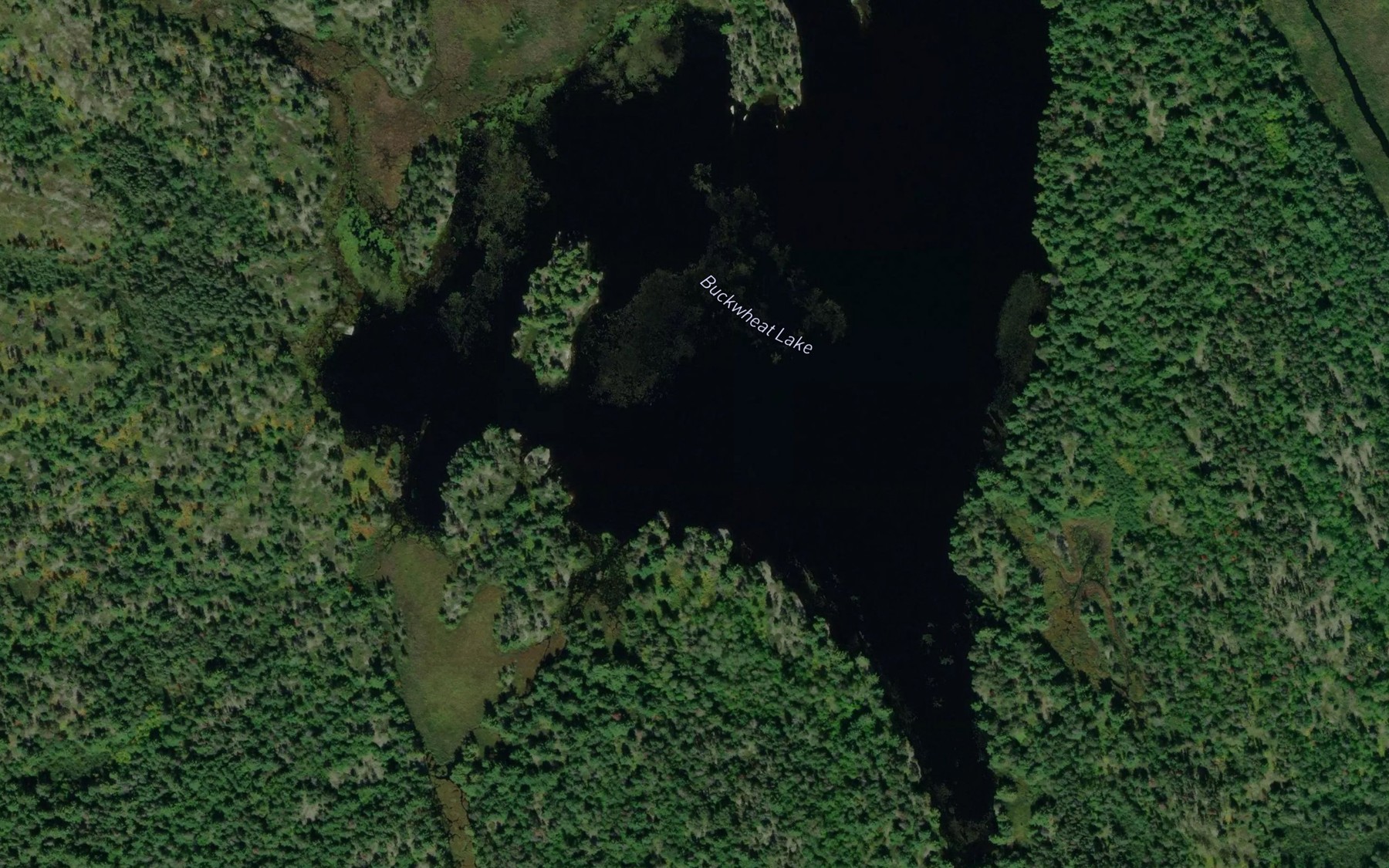 Satellite map of the Buckwheat Lake