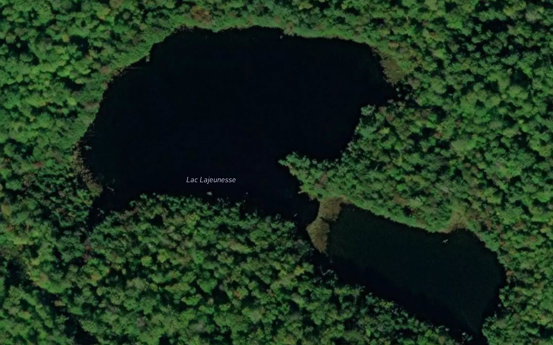 Satellite map of the Lac Lajeunesse
