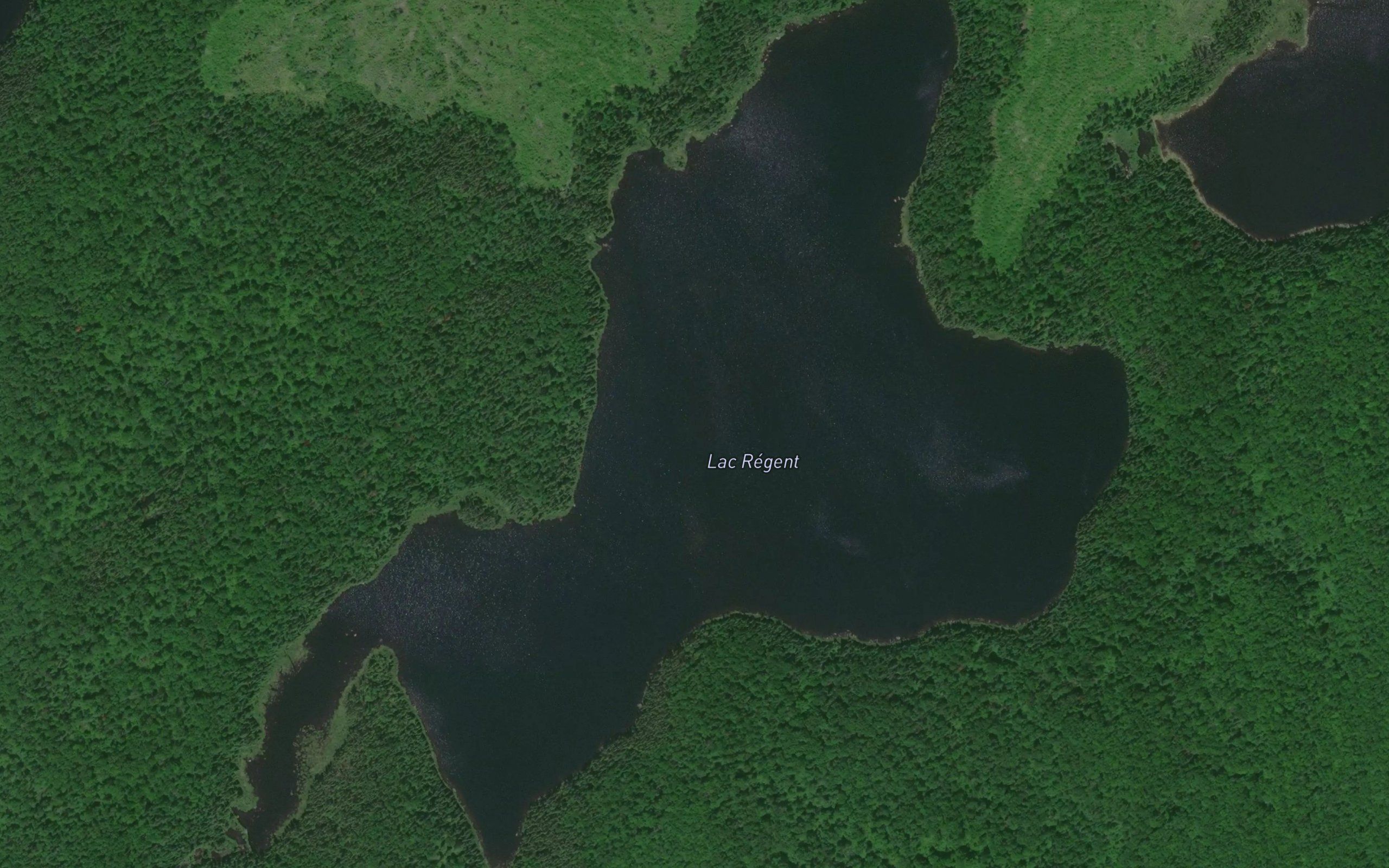 Lac Regent