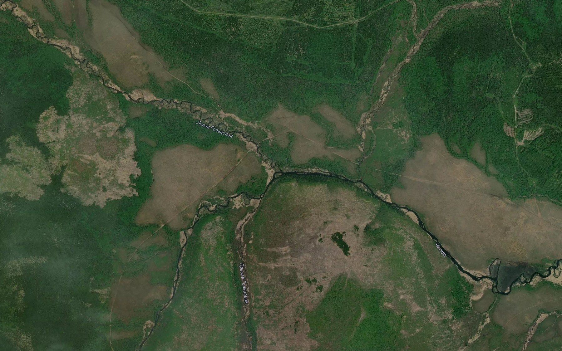 Satellite map of the Pravaya Gol'tsovaya