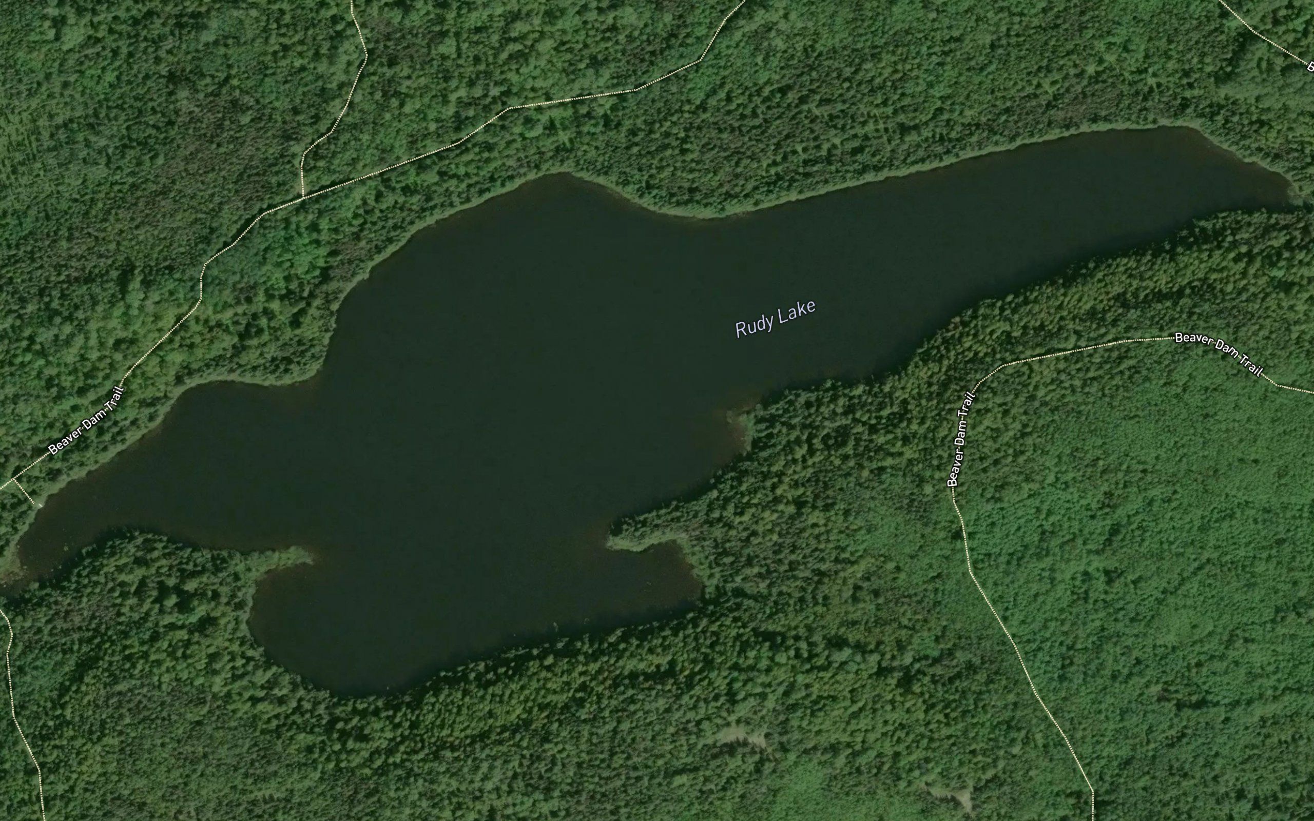 Rudy Lake