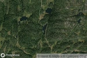Kolbjortjorna