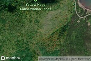 Satellite map of the Yellow Head Cove