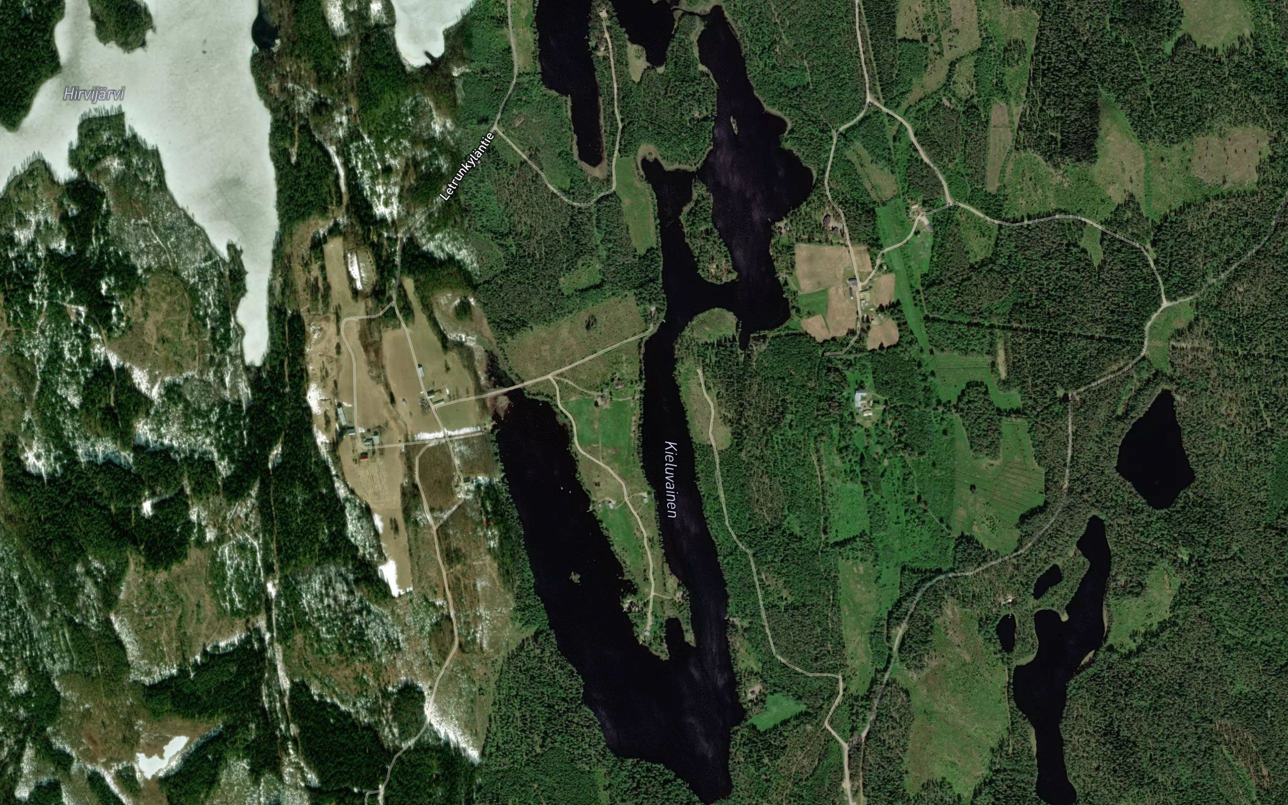 Kieluvainen