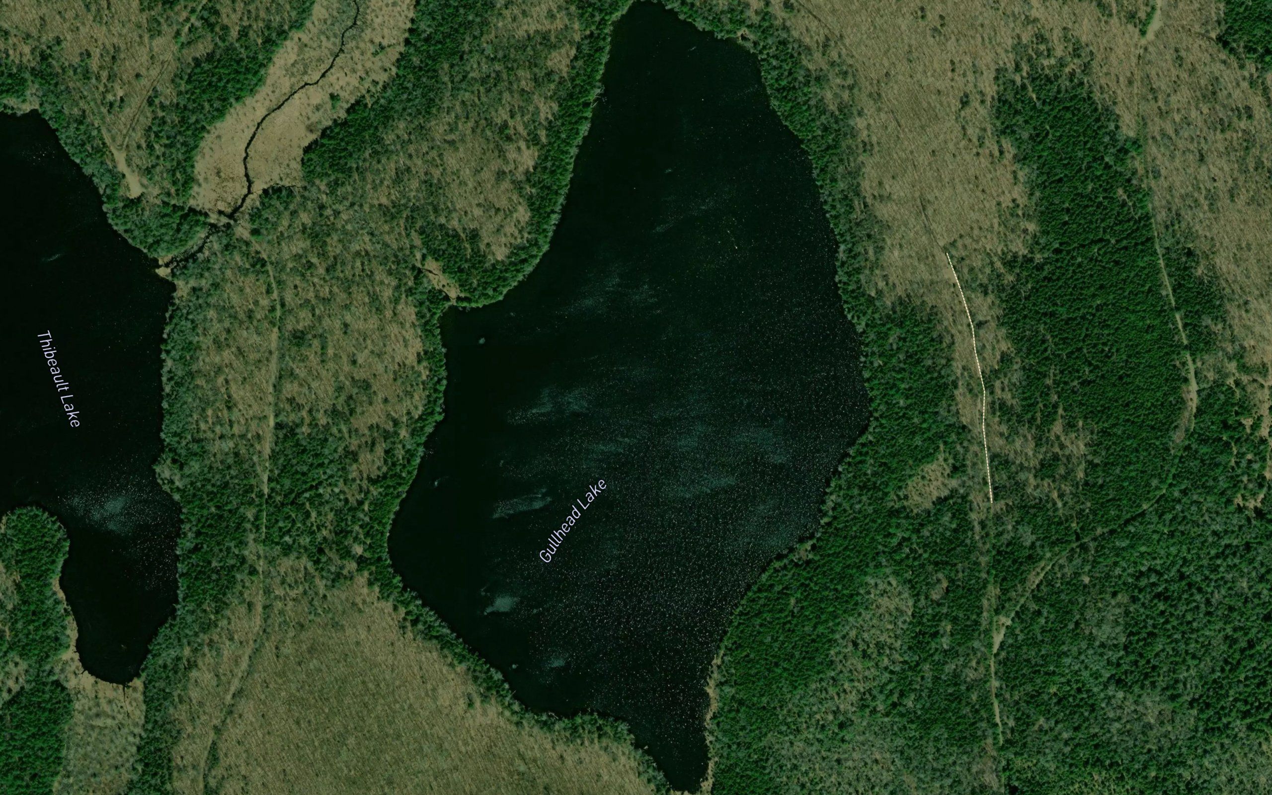 Gullhead Lake