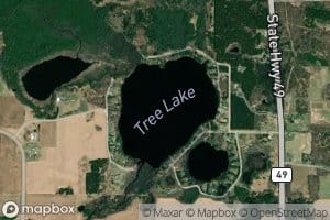 Tree Lake