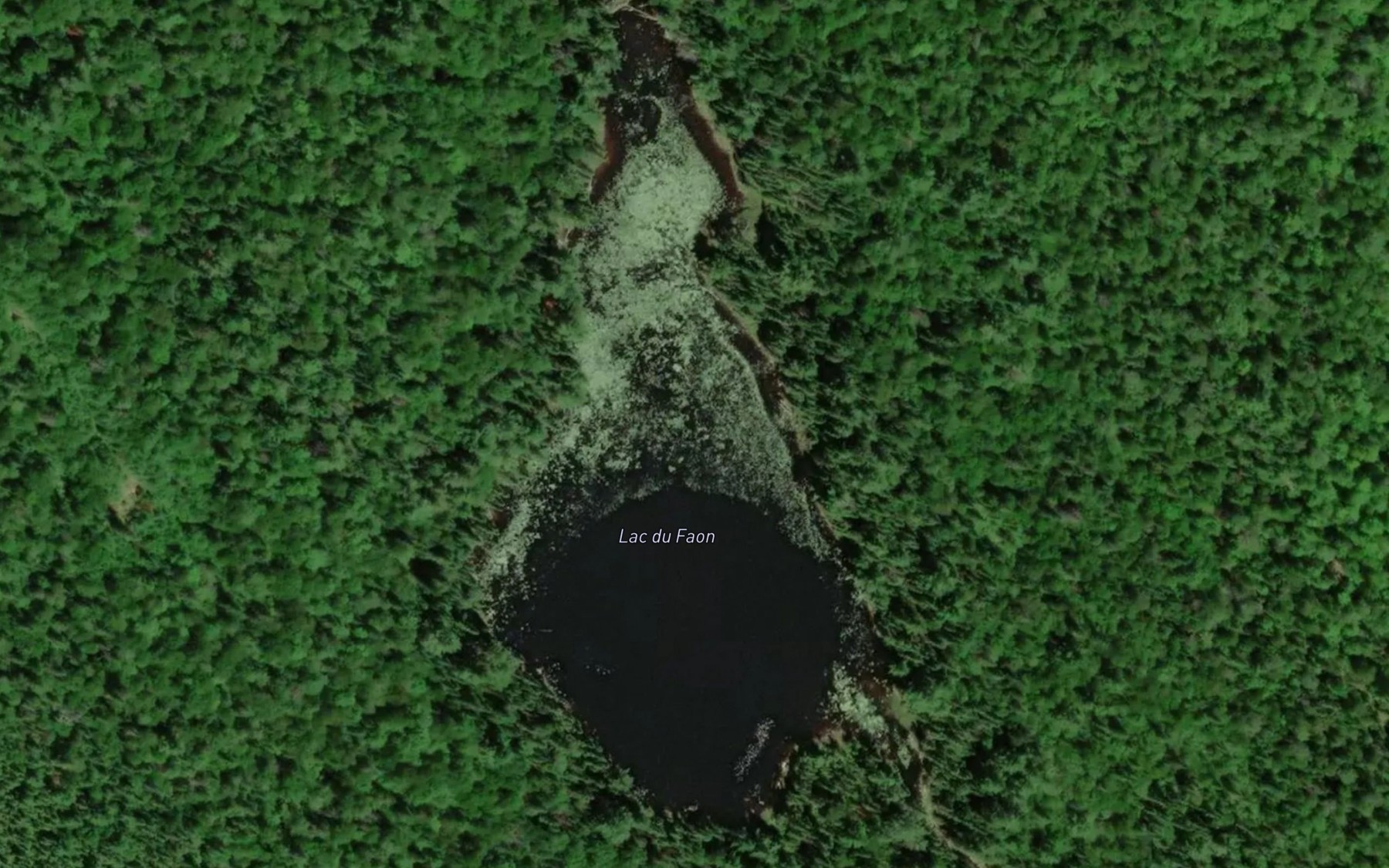 Satellite map of the Lac du Faon