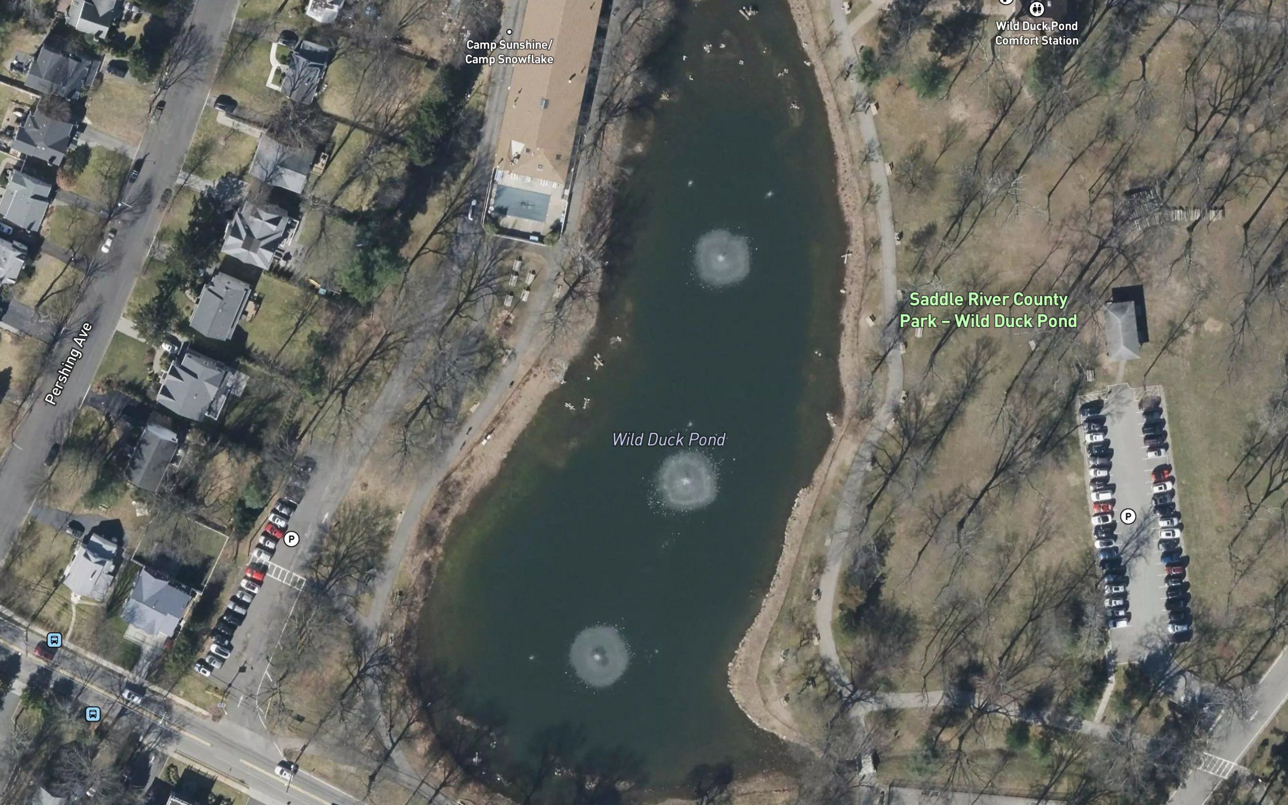 Wild Duck Pond