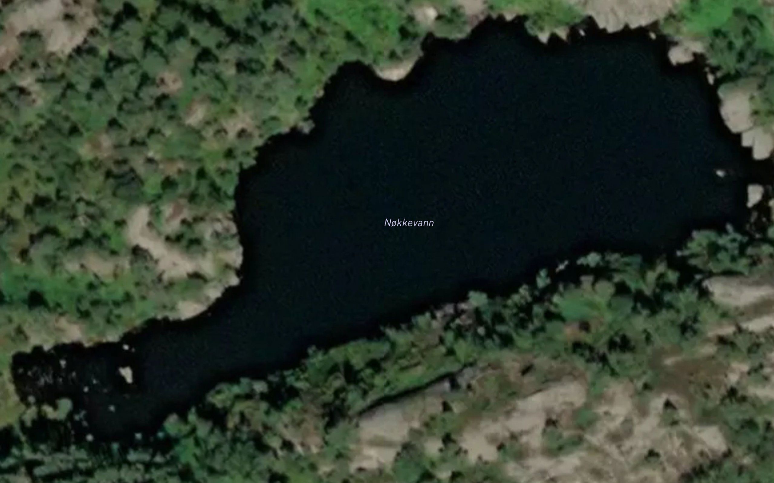 Nokkevann