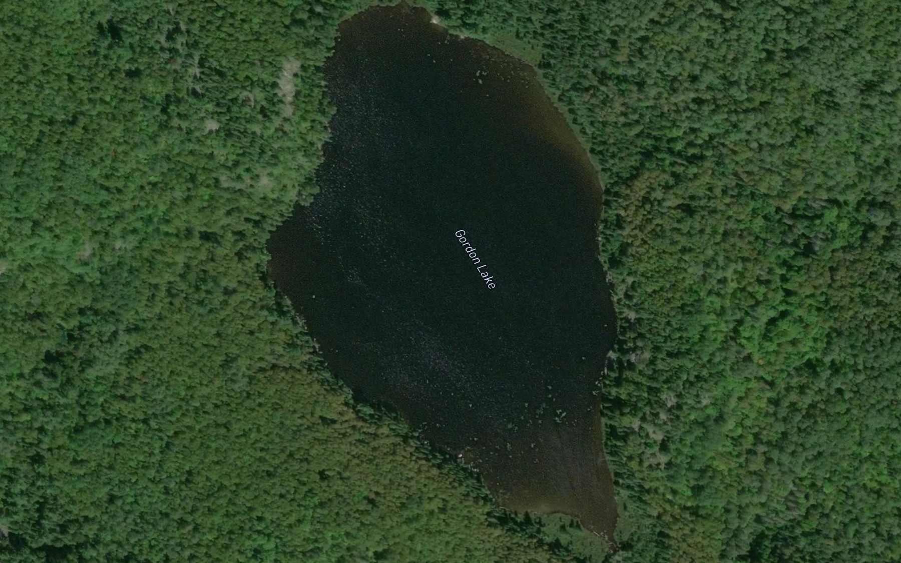 Satellite map of the Gordon Lake