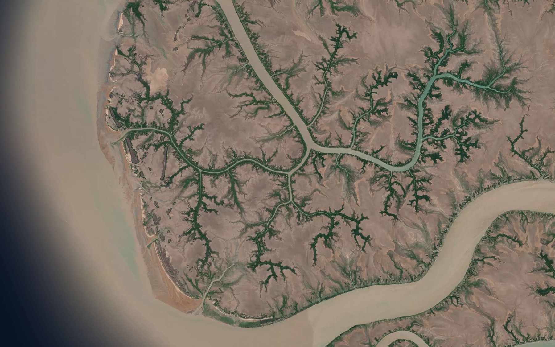Satellite map of the Whale Flat