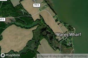 North Branch Beaverdam Swamp