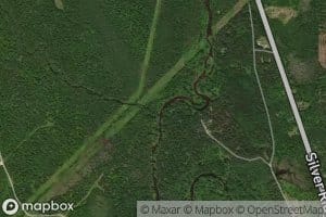 Little Molunkus Stream