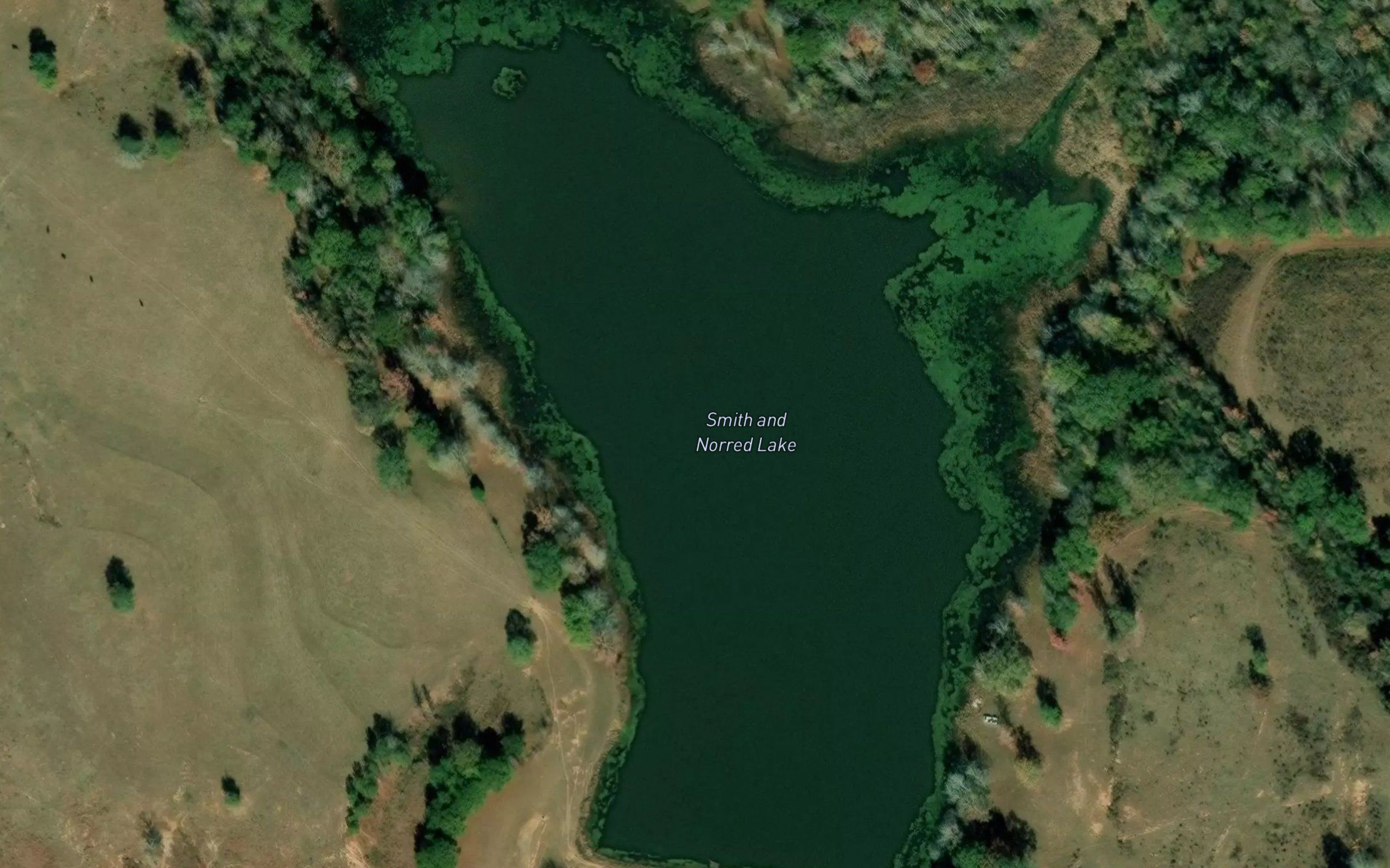 Smith and Norred Lake