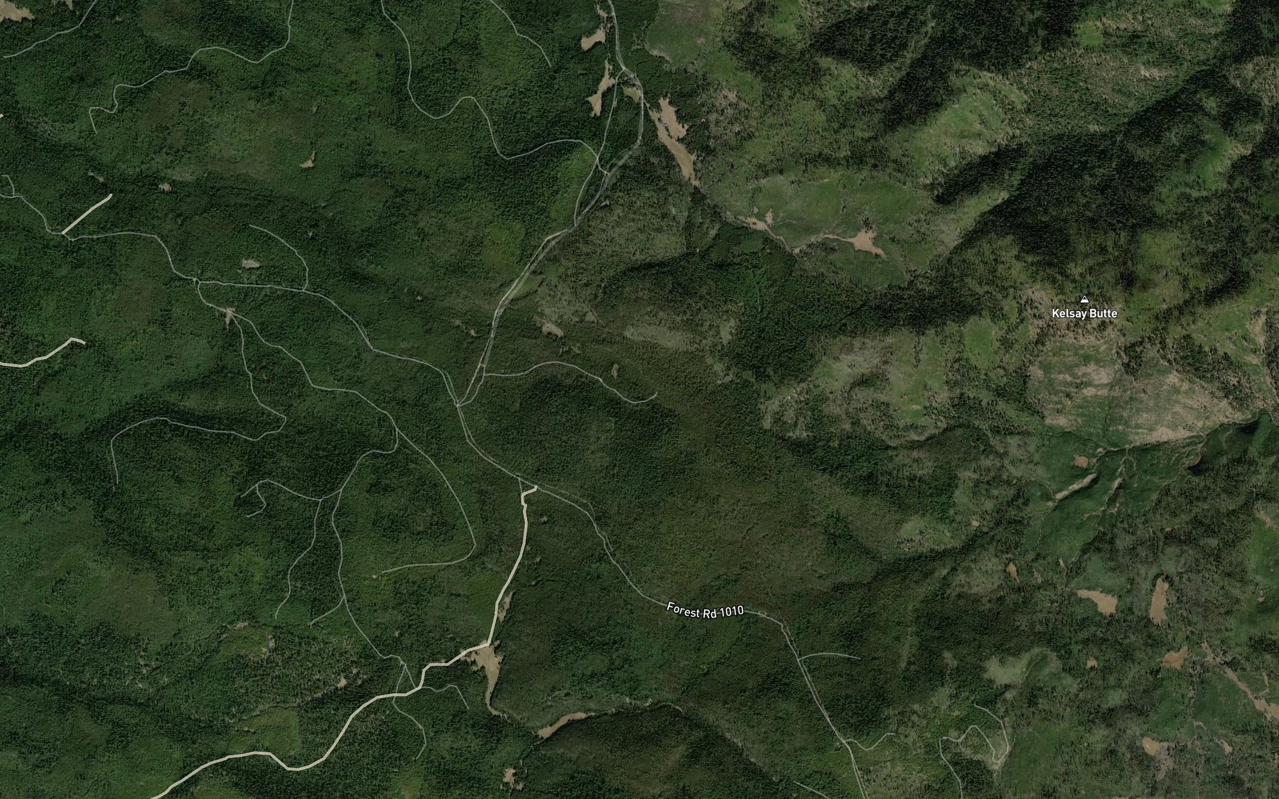 Satellite map of the Kelsay Spring