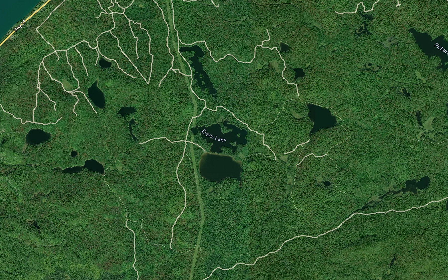 Satellite map of the Evans Lake