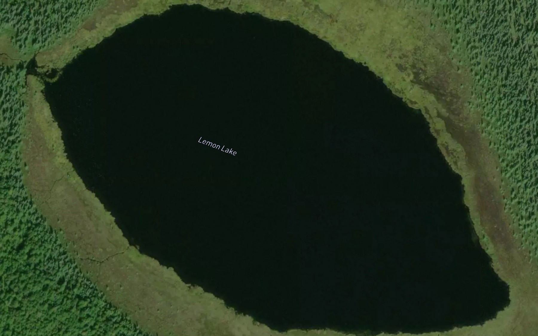 Satellite map of the Lemon Lake