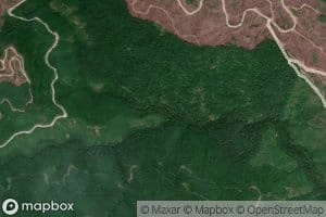 Middle Fork Robinson Creek