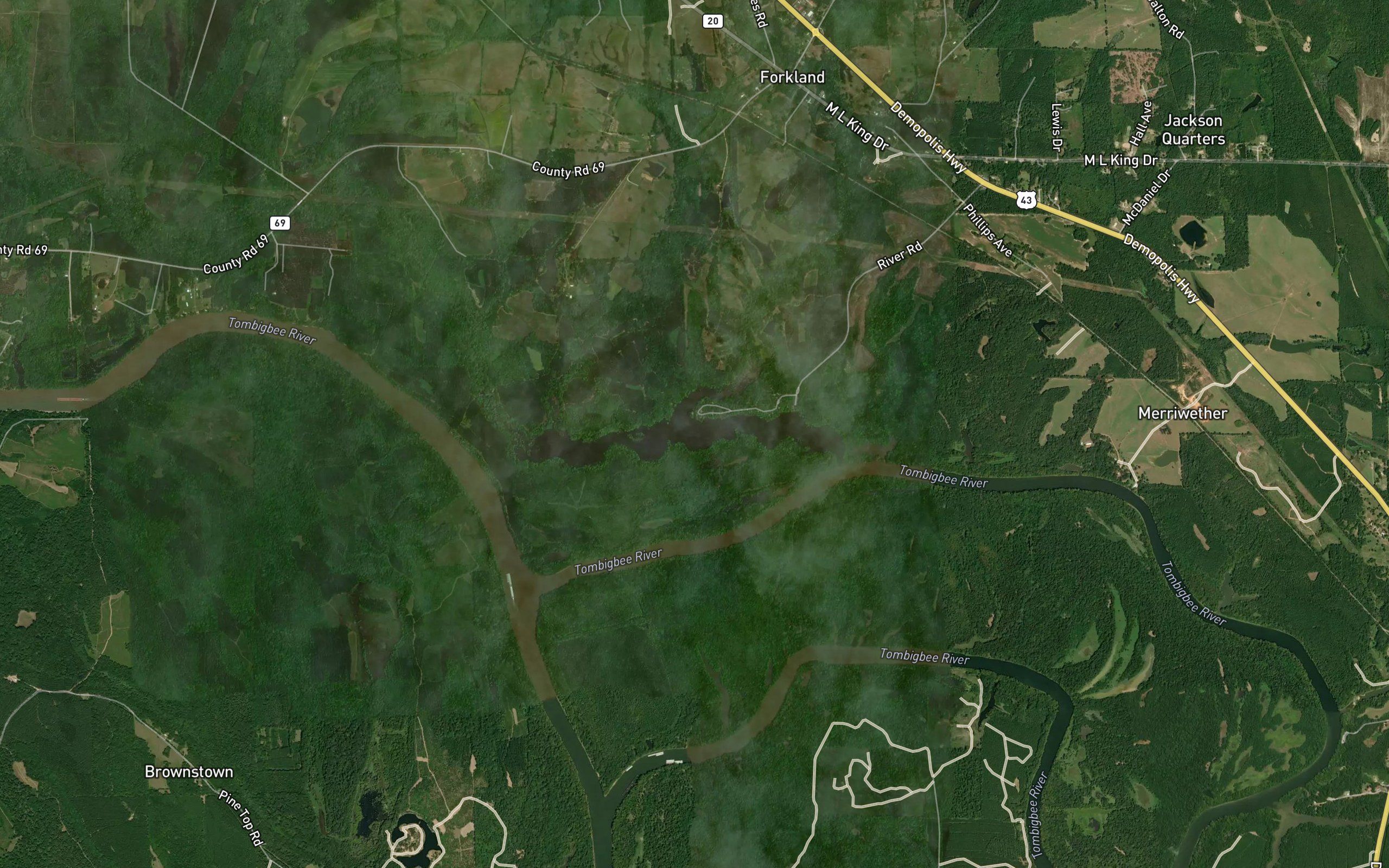 Taylor Branch