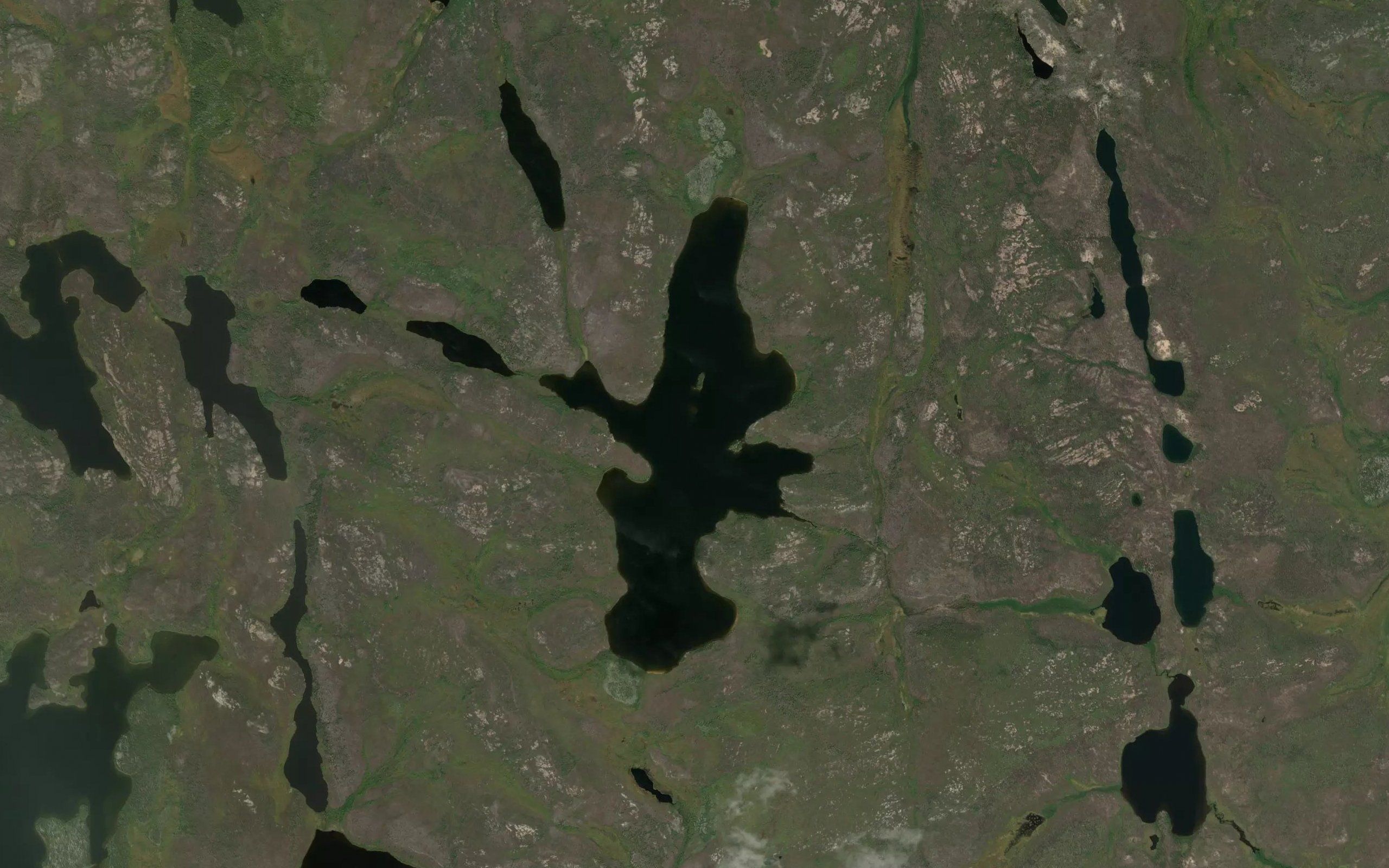 McMurdy Lake