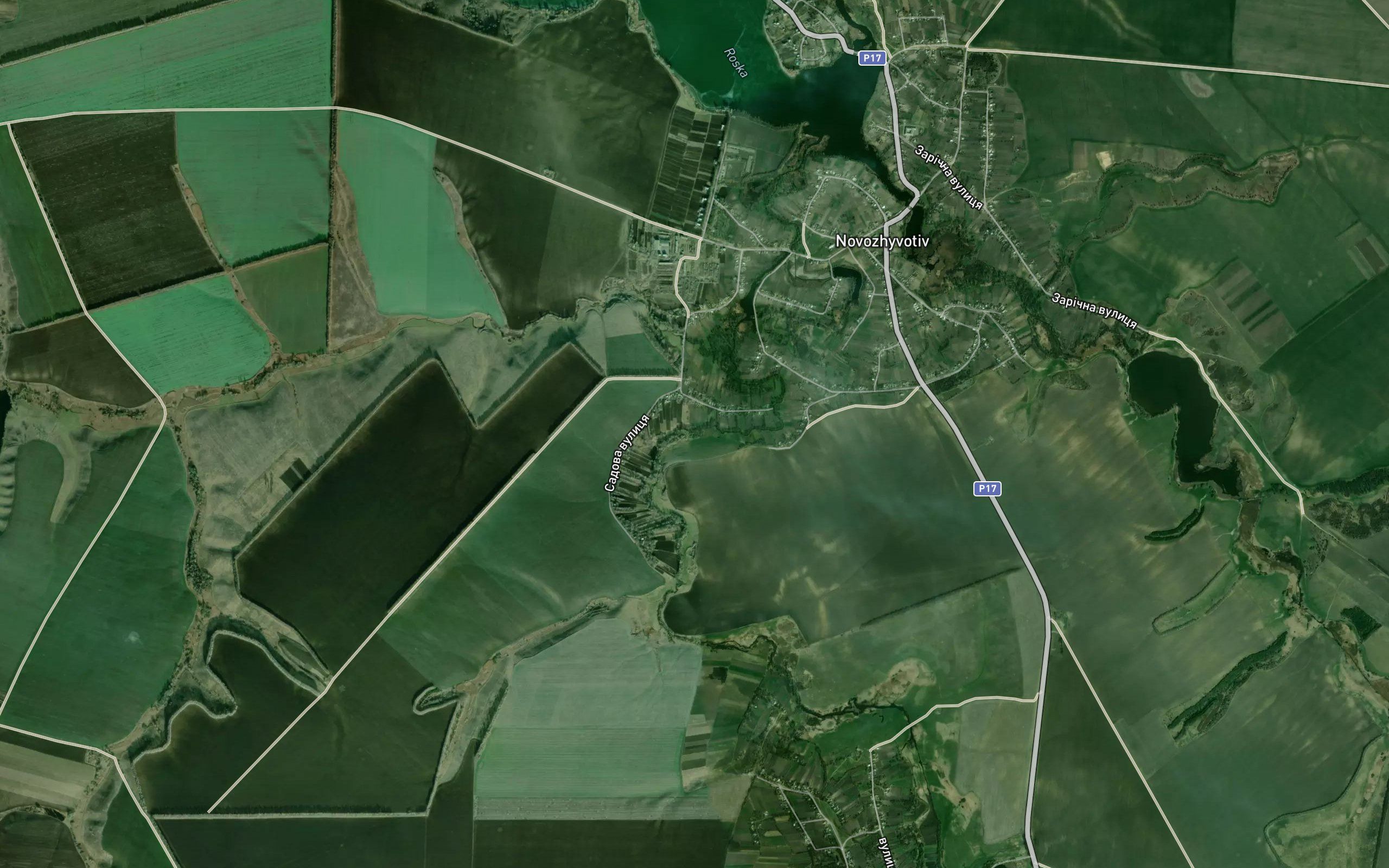 Zhyva