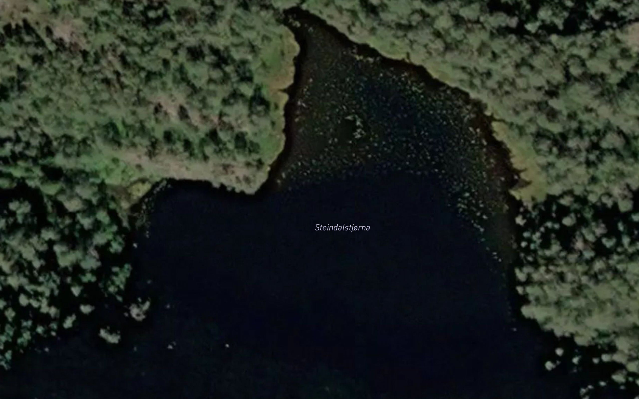 Steindalstjorna