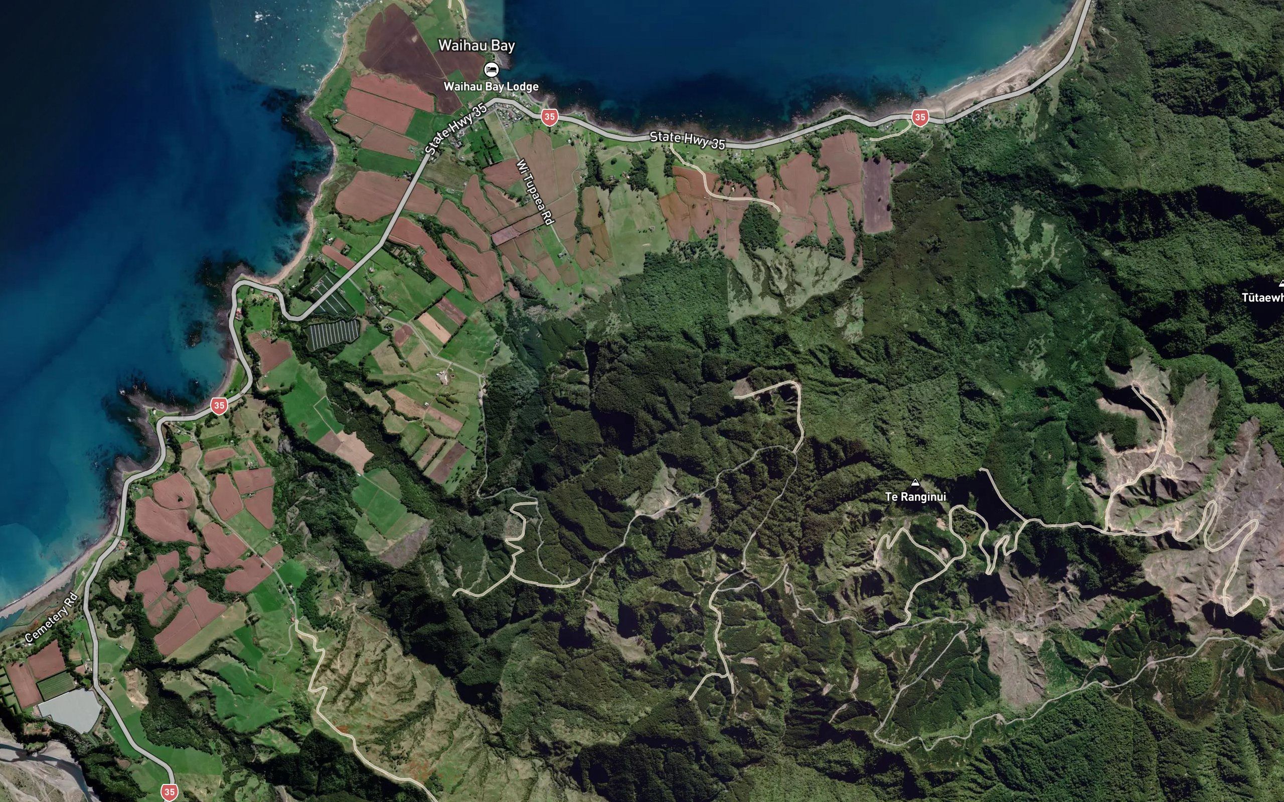 Kawakawa Stream