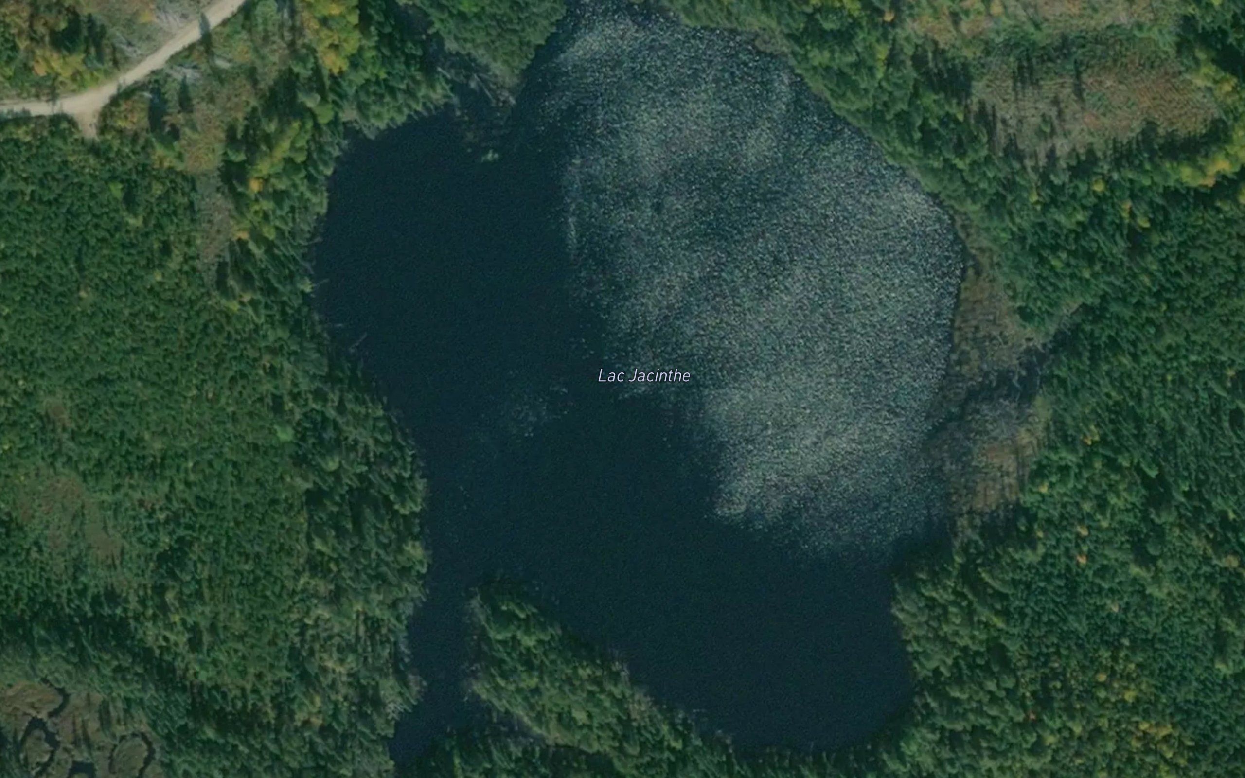 Lac Jacinthe
