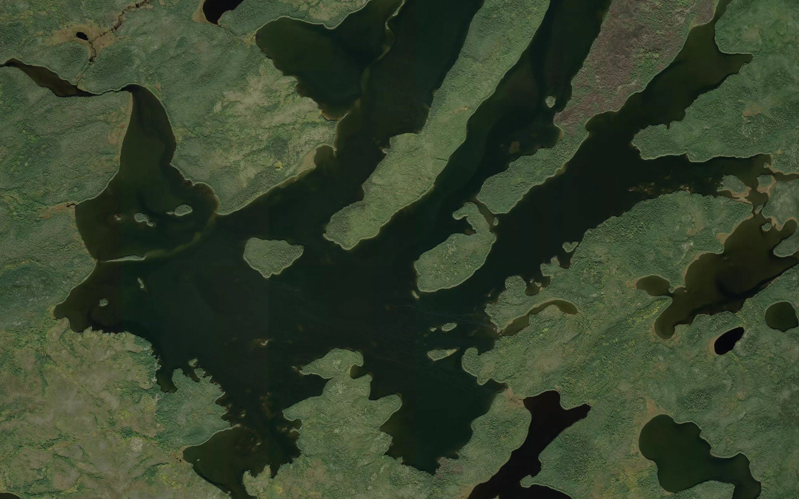Withers Lake