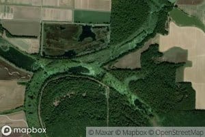 King Bayou