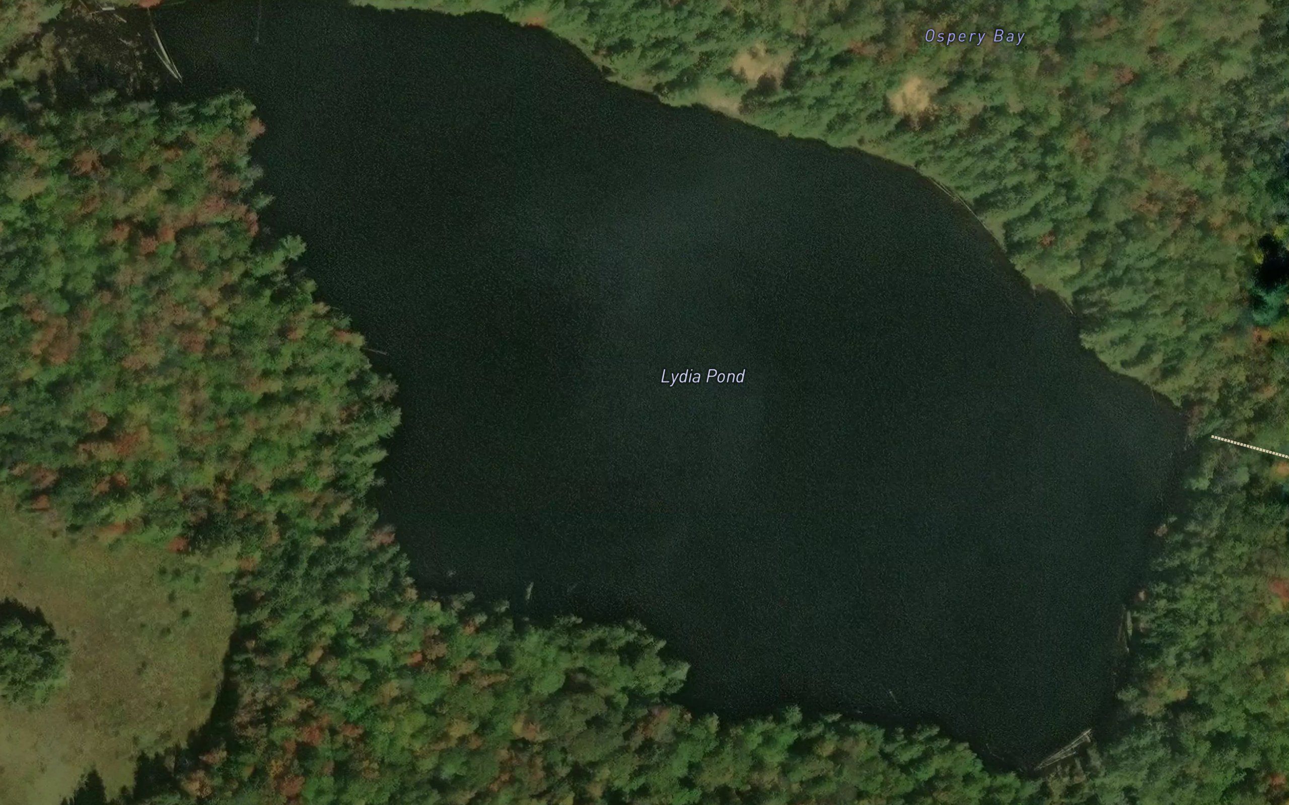 Lydia Pond