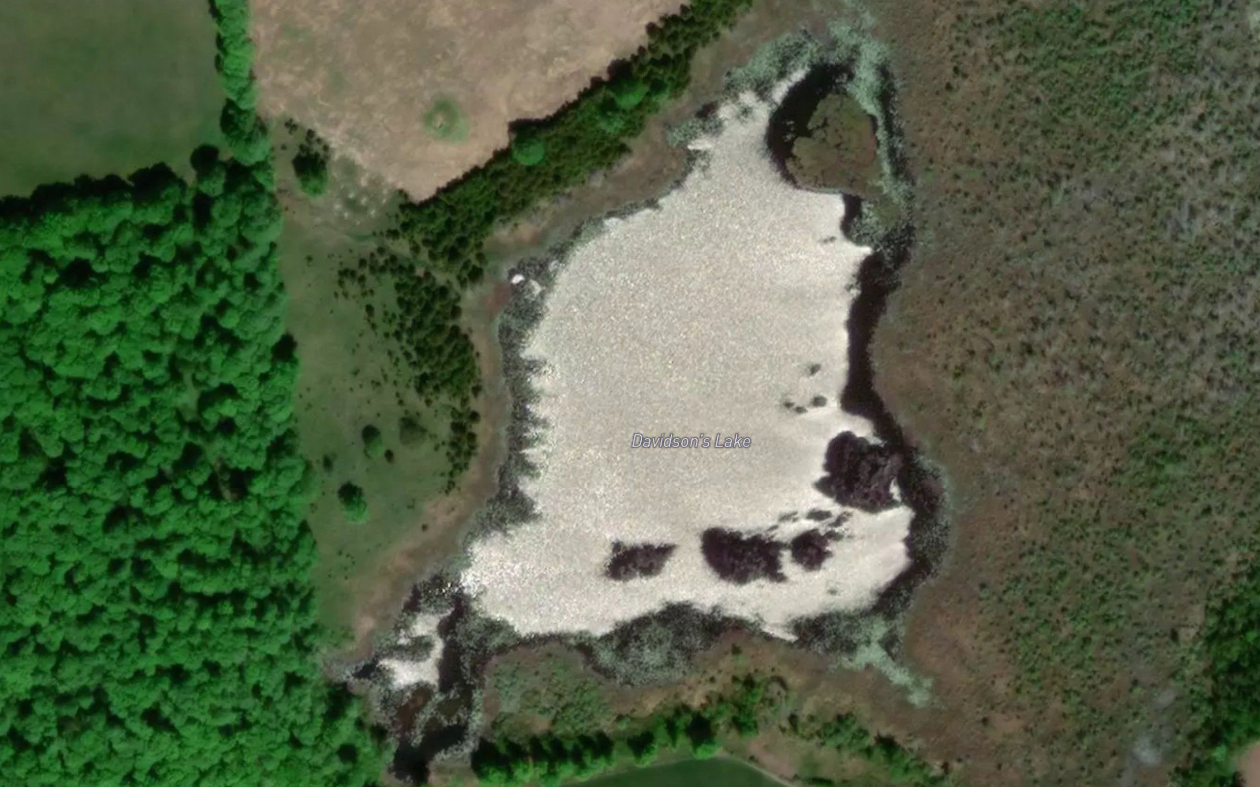 Davidson's Lake