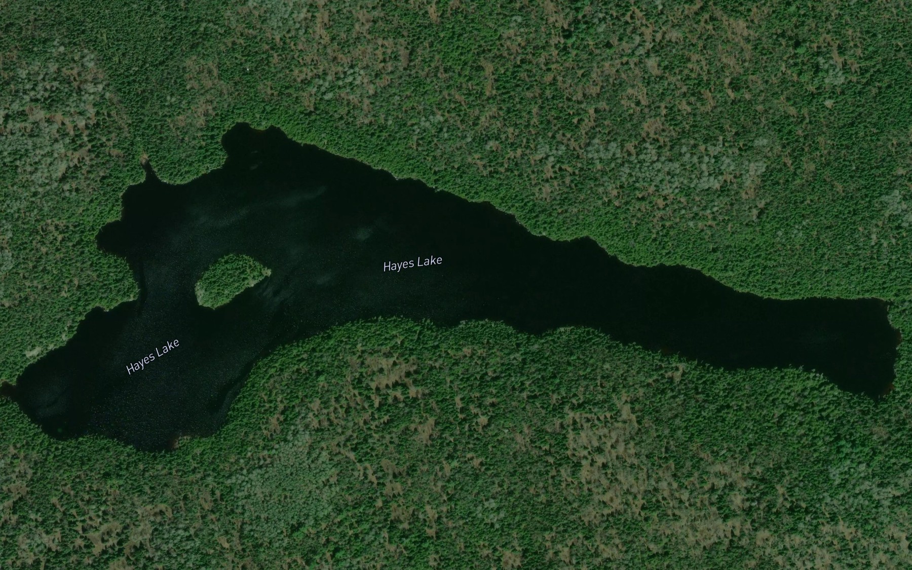 Satellite map of the Hayes Lake