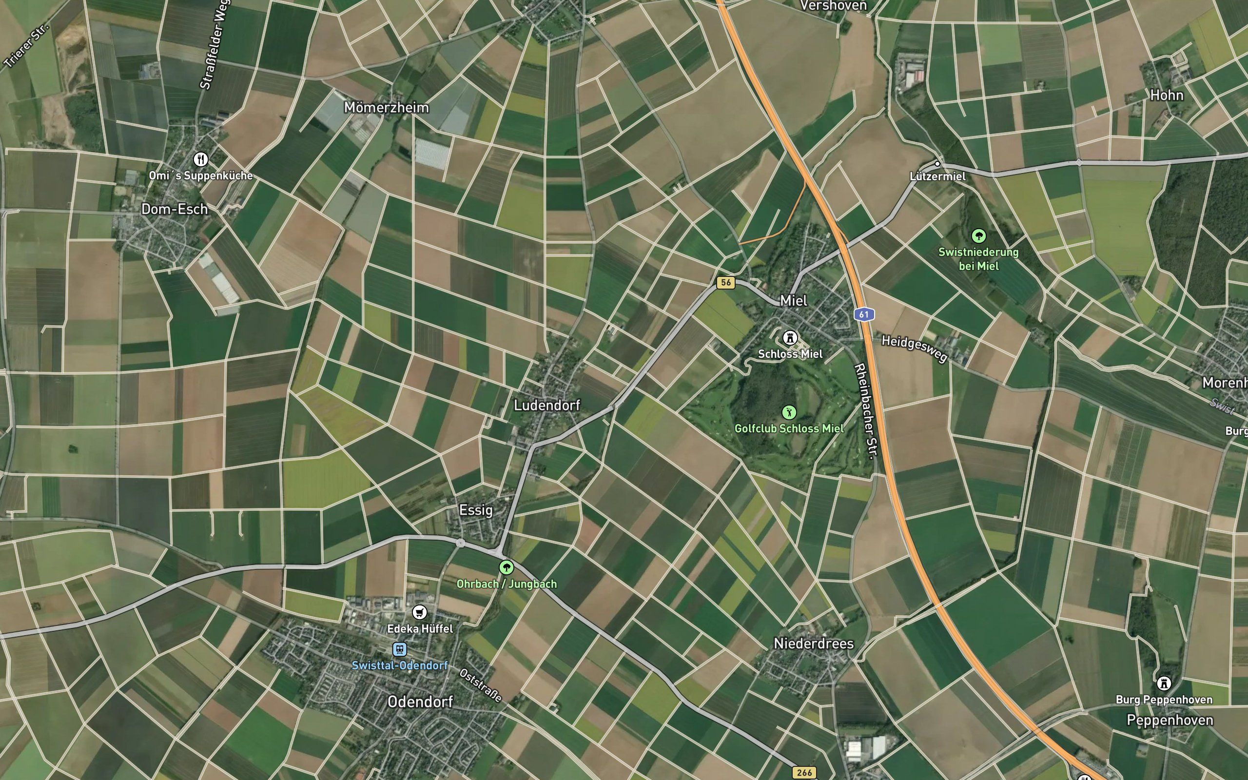 Ohrbach