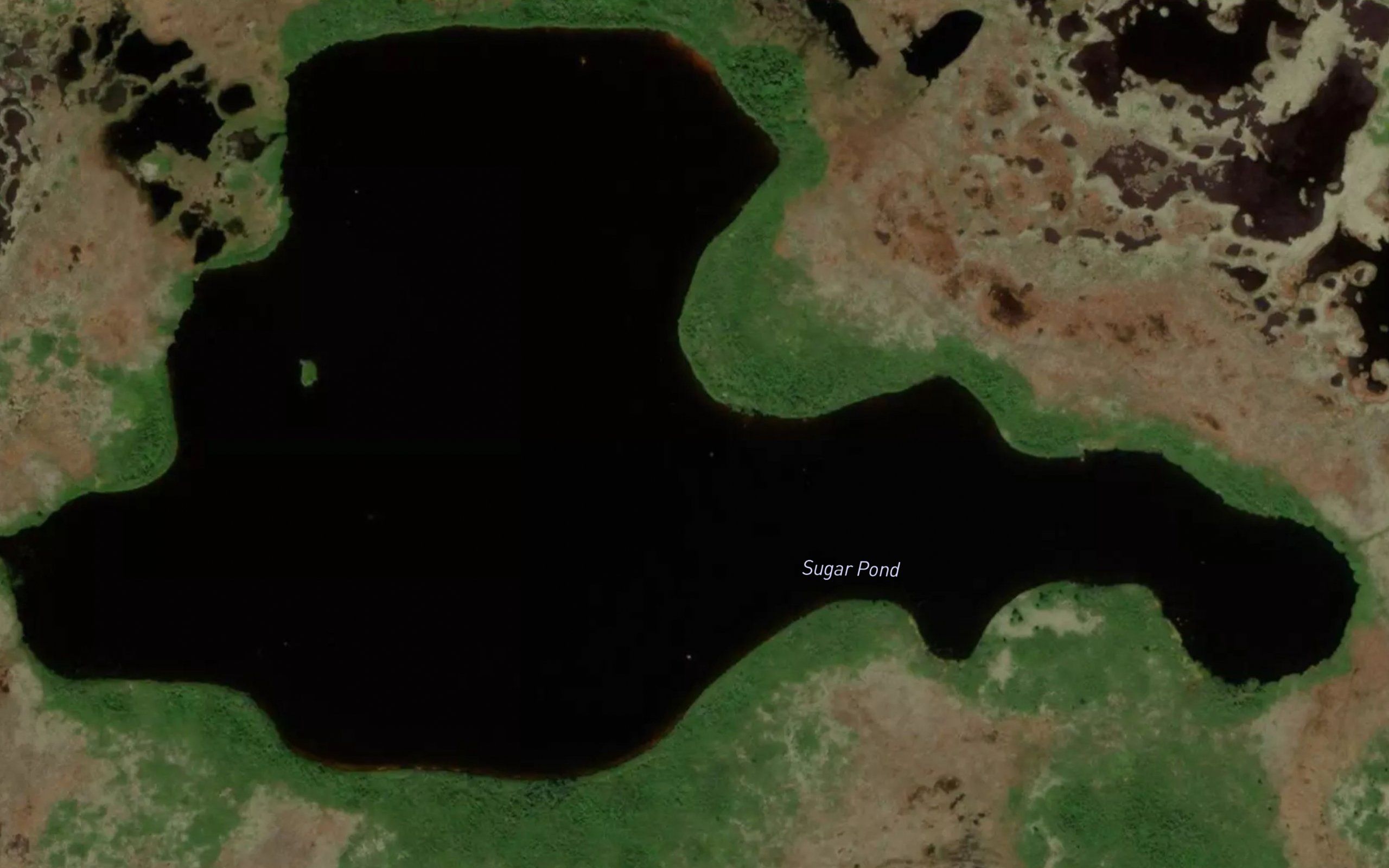 Sugar Pond