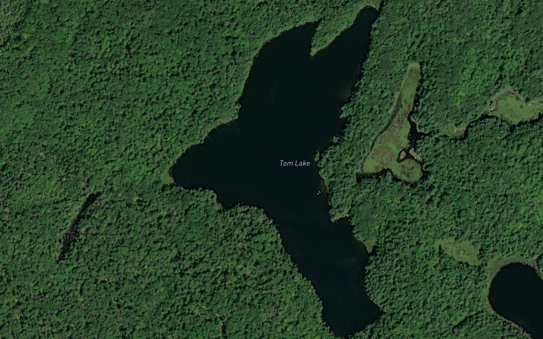 Satellite map of the Tom Lake