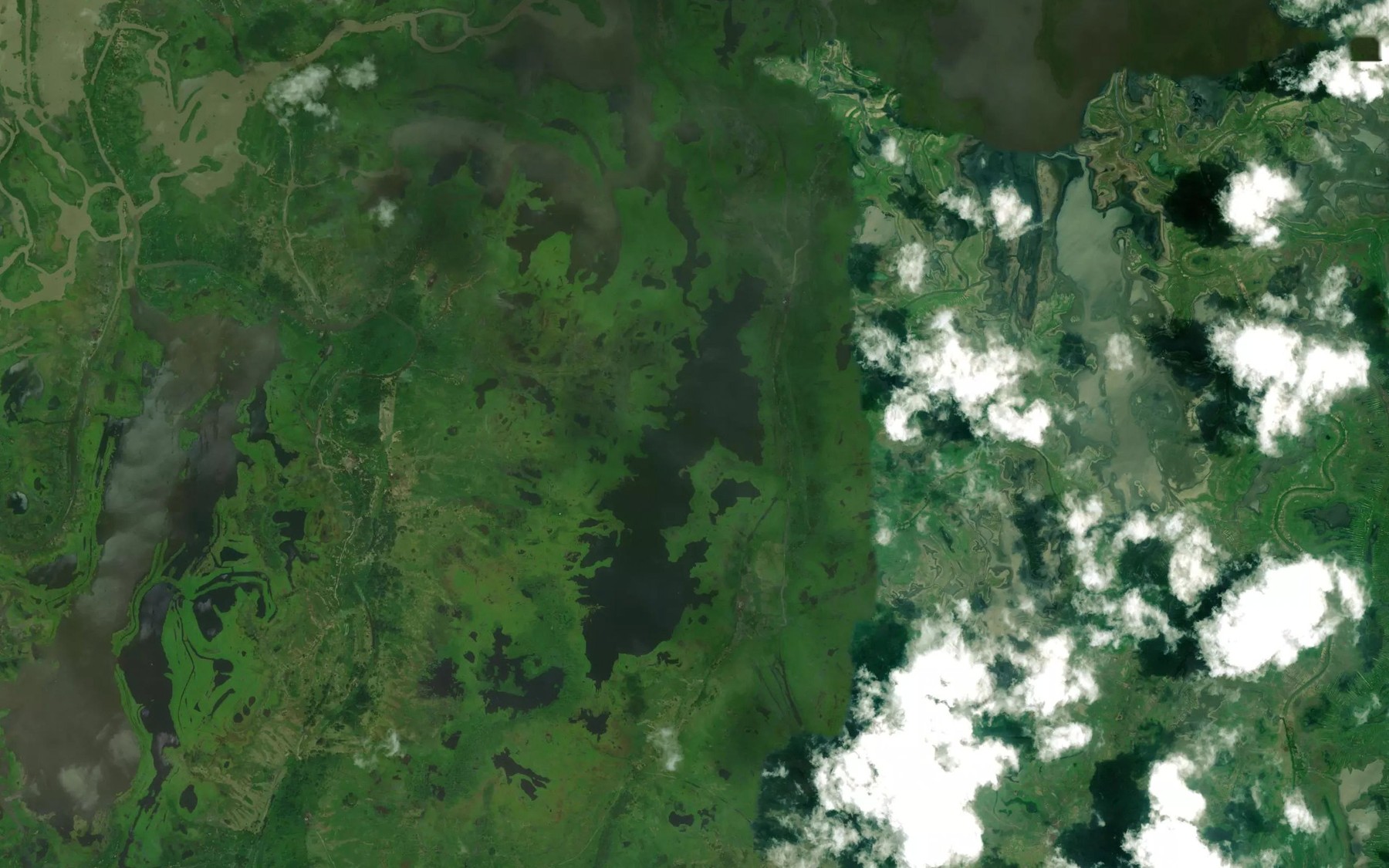 Satellite map of the Cienaga Panjagua