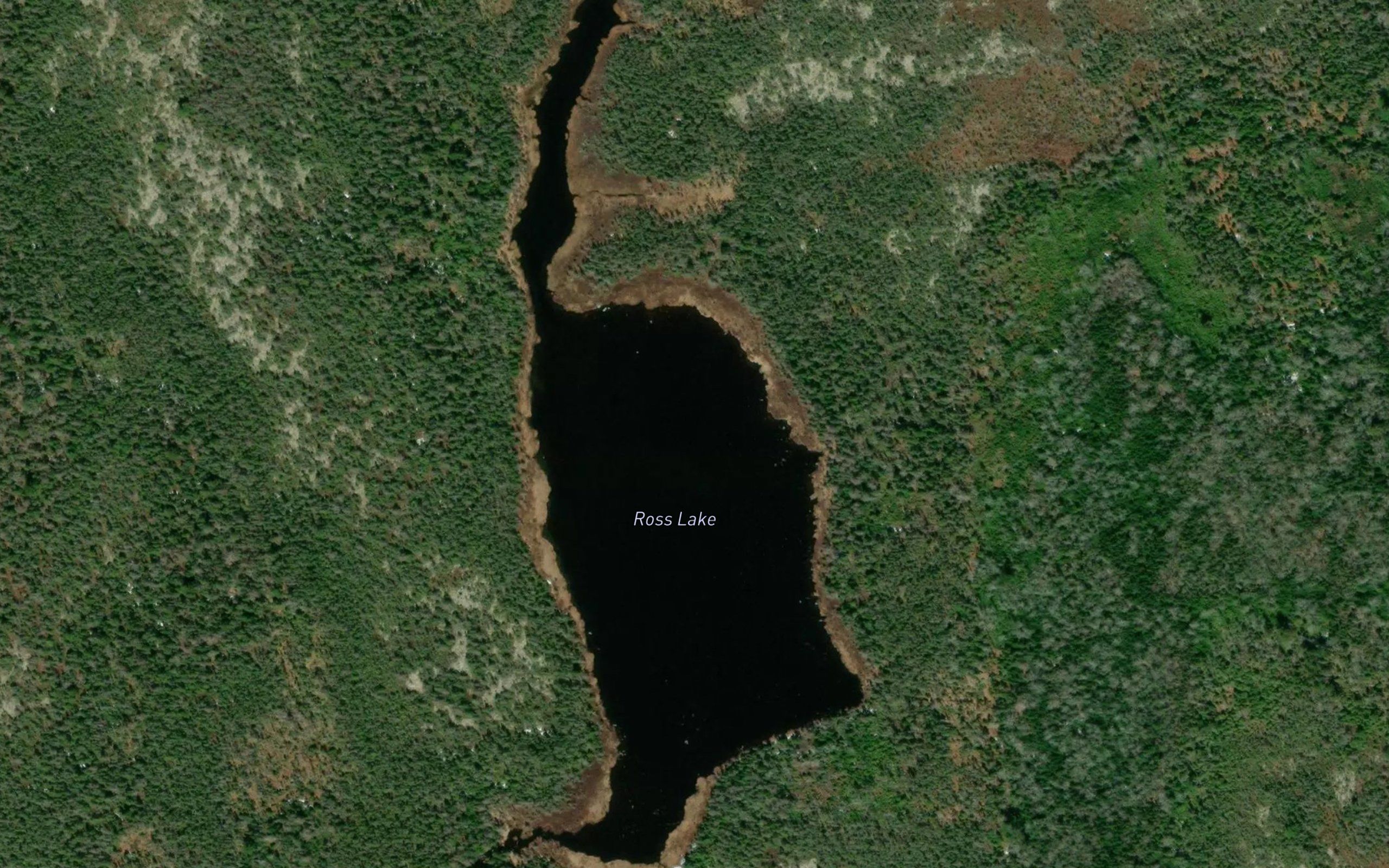 Ross Lake